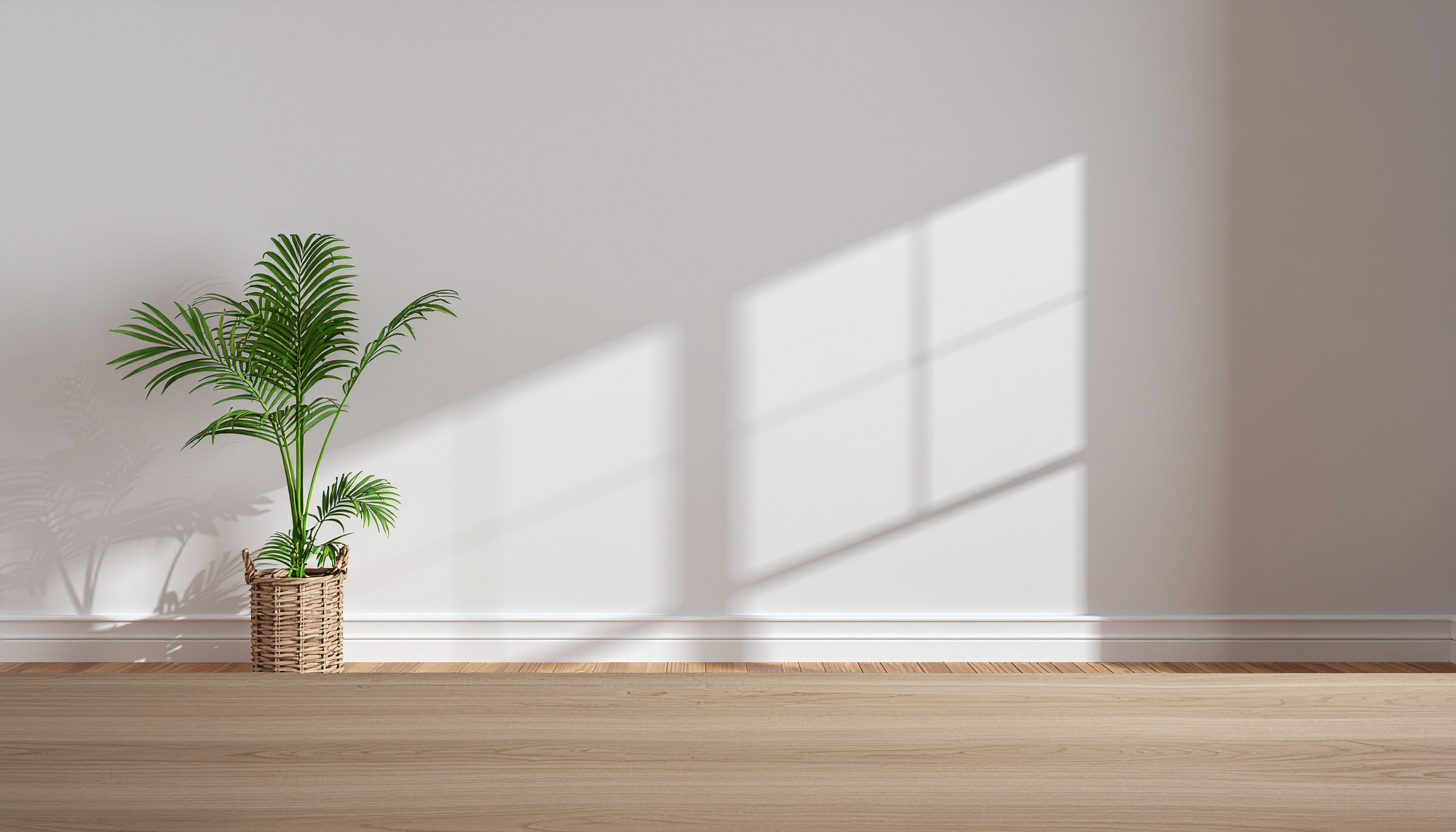 Uma planta verde em vaso de vime repousa sobre um piso de madeira clara, iluminada por uma luz suave projetando sombras geométricas na parede branca, criando uma atmosfera tranquila e minimalista.